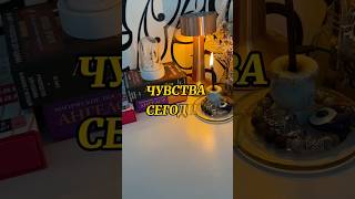 #таро #тарочточувствует #мыслимужчинытаро #мысличувствадействия #гадание #тароонлайн