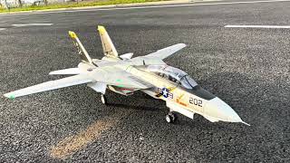 Freewing F-14 Twin 64mm EDF maiden