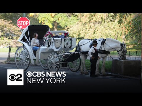 NYC Council vote on horse carriage ban looms as industry strongly opposes