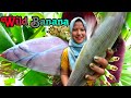 Picking wild banana flower