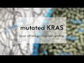 Cancer cell biology mutated kras  reciprocal signalling