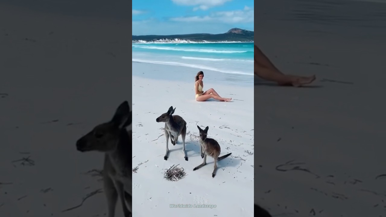 Amazing Places😱in Australia🇦🇺#1 