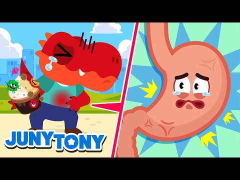 What Is Happening to My Stomach? | Good Habit Songs | Kids Songs | JunyTony