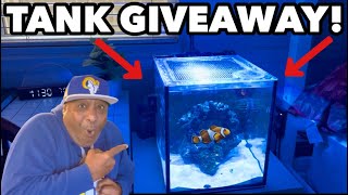 Giving AWAY my Saltwater Aquarium!