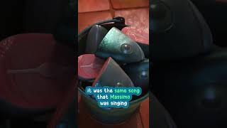 Did You Know In Pixars Ciao Alberto