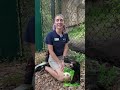 What’s the question zookeepers get asked the most? 👀