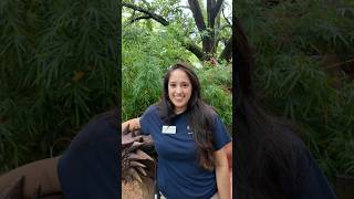What’s the question zookeepers get asked the most? 👀