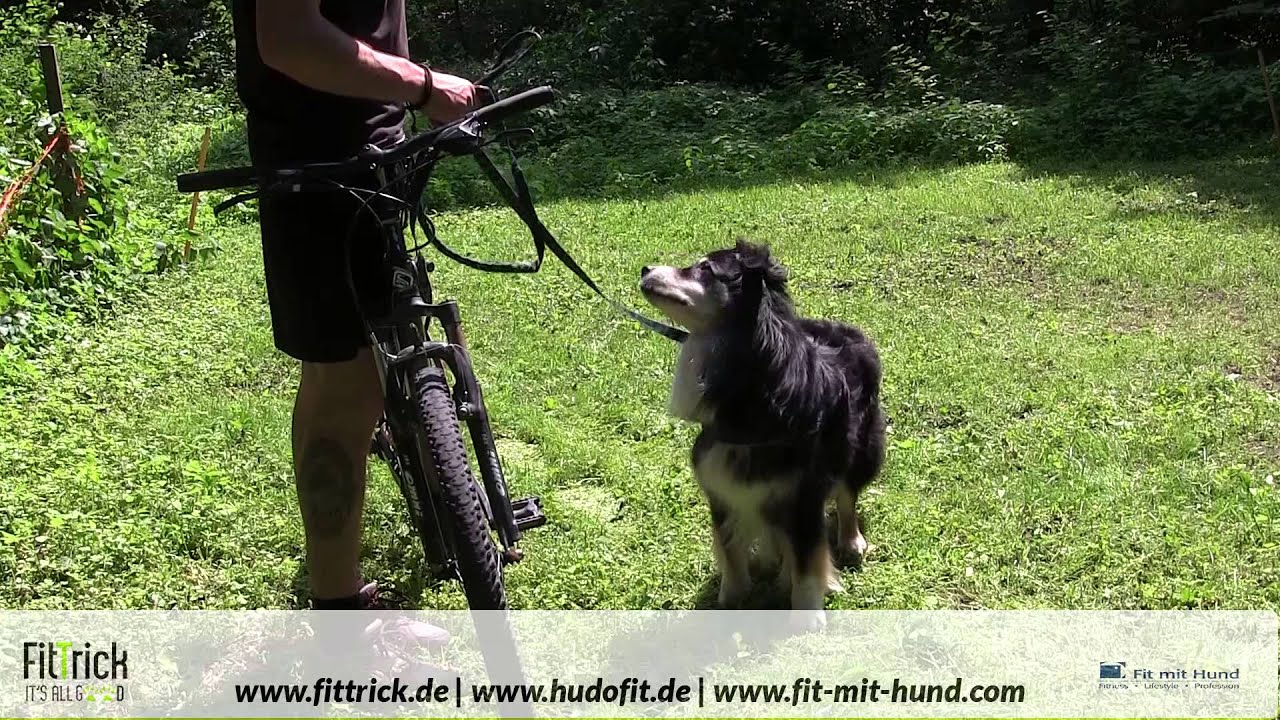 Hund am Fahrrad YouTube