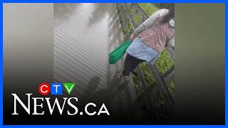 Woman in viral littering video fined $1,000 screenshot 1