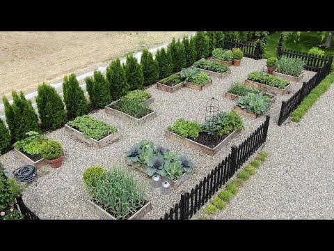 My Vegetable Garden Layout U0026 Tour! ?‍???// Garden Answer