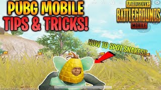 Top 5 New Tips & Tricks In Pubg Mobile | How to Spot Snakes On The Ground!