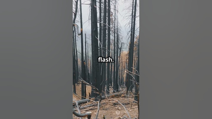 New maps show damage assessment fromPalisades and Eaton fires