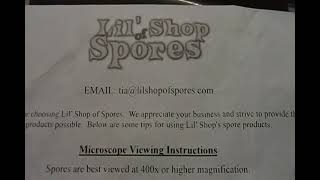 Lil' Shop Of Spores Review
