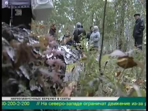 Жители поселка Рощино протестуют против вырубки деревьев в особо охраняемой территории