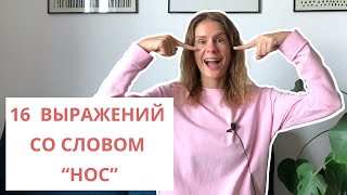 16 интересных выражений со словом НОС || Русский словарь