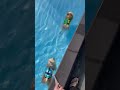 ドッグプールでスイスイ🐶💨ポメ吉が誘導役だす