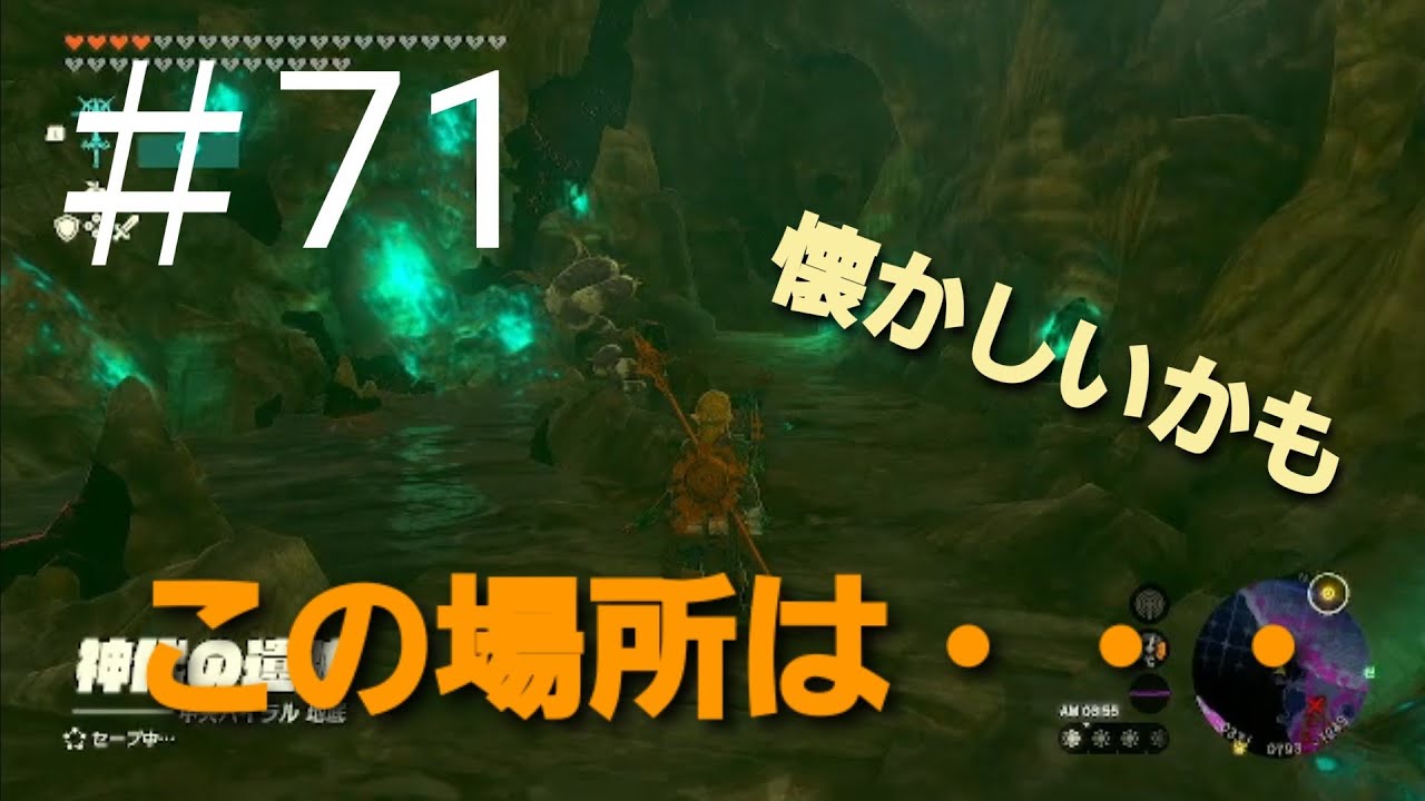 ゼルダの伝説ティアーズオブザキングダム ゼルダの伝説 ティアーズオブザキングダム 71 - YouTube
