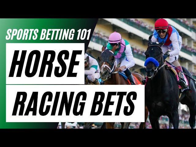 bet horse racing today