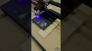 Cheap laser engraver engraving on a painted canvas