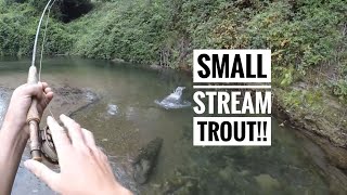 Euro Nymph in small streams for rainbows/steel head