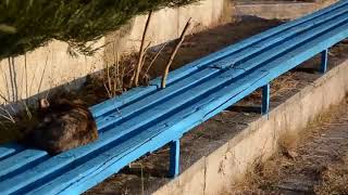 Слънчев ден | Sunny day