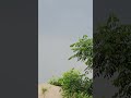Sarai Alamgir Beautiful Weather / Rainy Day