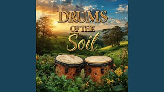 Drums Of The Soil
