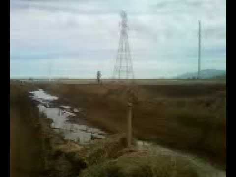 OCA CARSON DUVALL.mp4