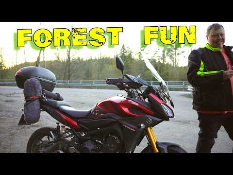 Motorcycle Joyride on Twisty Forest Roads! #mt09tracer #norway