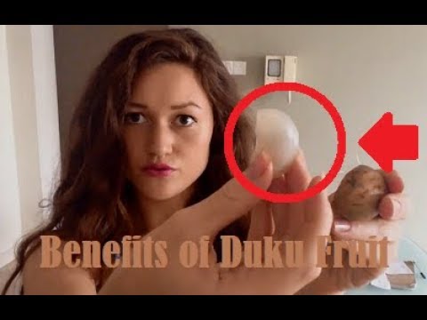 12 Benefits of Duku or Langsat Fruit For Body and Nutrition-MAU TAU CHANNEL