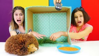 Ayşe ve Asu Ela kutuda ne var challenge yapıyorlar! Eğlenceli video