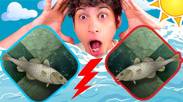 Two Chess CHEATERS Play EACH OTHER!