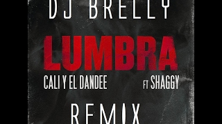 Lumbra Remix - Cali Y El Dandee - DJ Brelly Remix