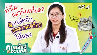 ทำไมแมวเครียด? เคล็ดลับลดความเครียดให้แมว | หมอสัตว์ชวนคุย EP.4