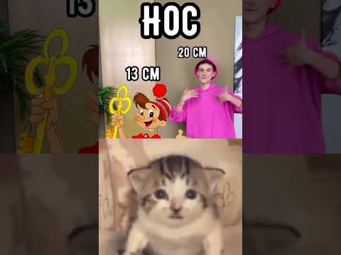 Мемы Приколы Мем Взрыв Кот