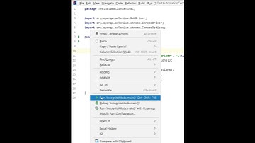 Running Selenium Tests in Chrome