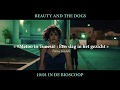 Beauty and the dogs i spot nl 20sec