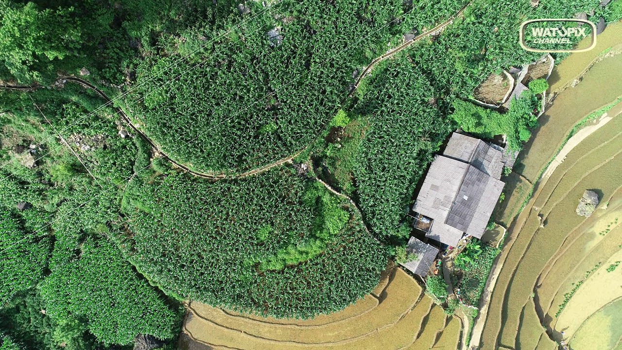 Les plus belles images du monde Vietnam Rizieres Sappa3