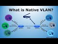 سويتش الجزء الثاني والأخير " شرح Vlan + حل كل افكارها + حل تفصيلي ل Native Vlan + حل امتحانات " 2022