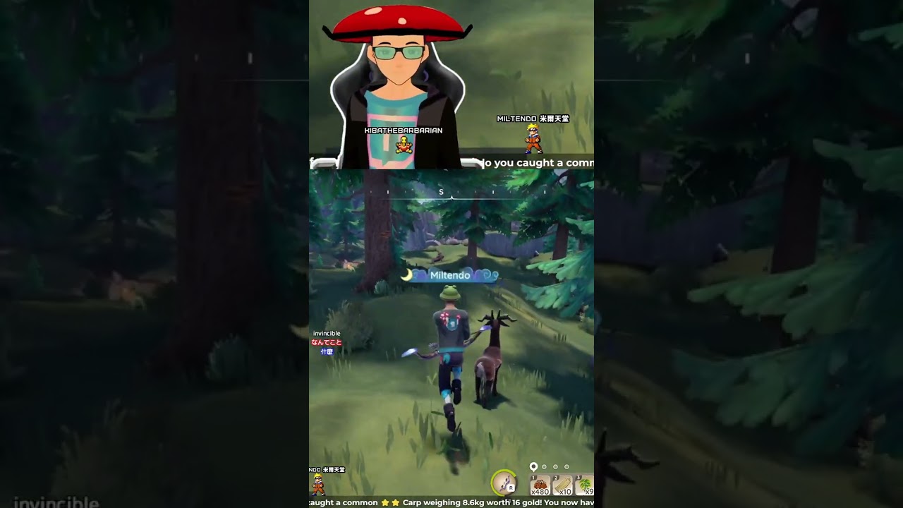 THE INVINCIBLE STAG | 