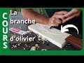 Cours de Sculpture sur Bois n°1  -  La branche d'Olivier