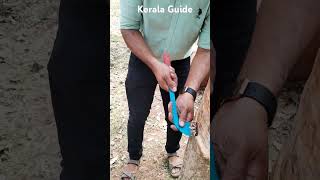 Reverse Tapping with Jabong Knife