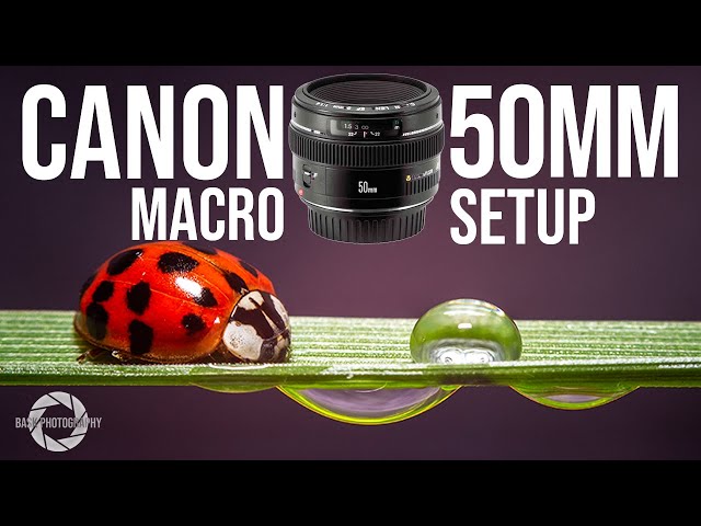 Canon 50mm MACRO photography setup ( sample photos ) - YouTube