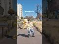新曲「Bloom」踊ってみた #whou #フウ #shorts #オリジナル曲 @Asahi_Izumi