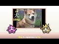 Japanese Vocabulary - Animal Sounds in Japanese
