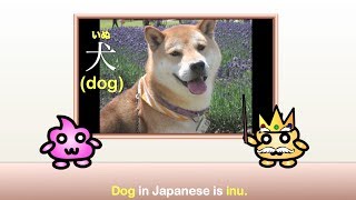 Japanese Vocabulary Animal Sounds Punipunijapan Japanese Vocabulary Animal Sounds Punipunijapan