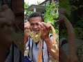 Tali Pengikat Barang Besar Berat Trekbel Ratchet tie down 3