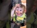 Funny monkey🤪😂 #funnyshorts #highlights #monkey