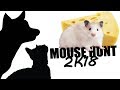 CAT GAMES - MOUSE HUNT 2K18 (FOR CATS ONLY)