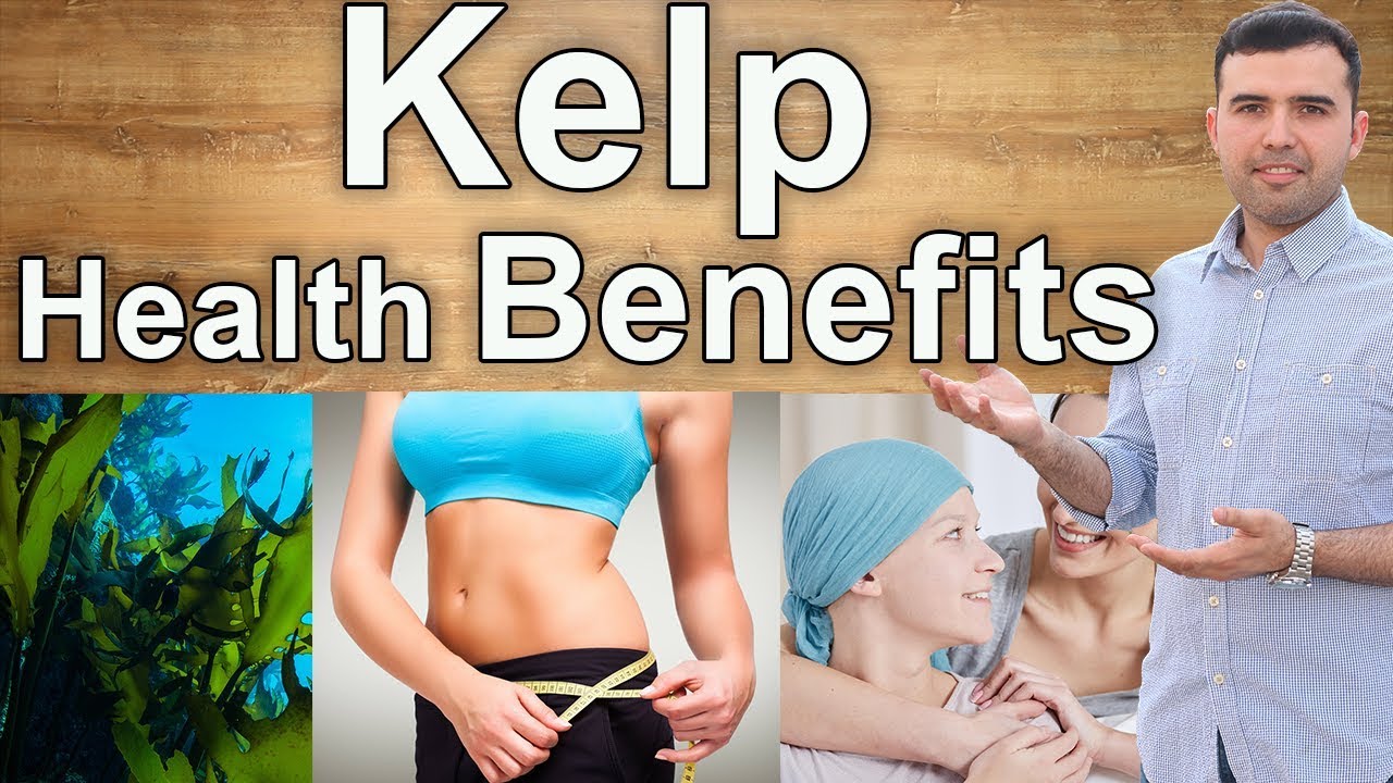 Удивительные преимущества ламинарии – интересные преимущества употребления ламинарии для вашего з...